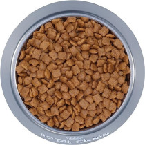 Royal Canin Feline Health Nutrition Kitten, 2Kg Cat Dry Food