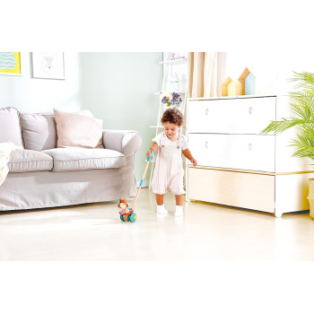 Hape Dancing Butterflies Push And Pull Toy E0341