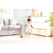 Hape Dancing Butterflies Push And Pull Toy E0341
