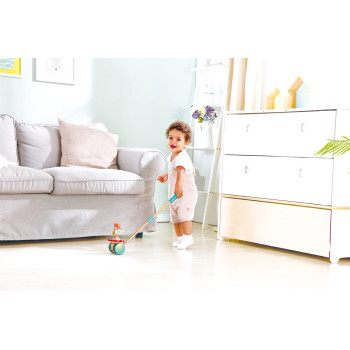 Hape Dancing Butterflies Push And Pull Toy E0341