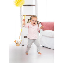 Hape Flappy Bird, Push Pull Along Toy, With Detachable Stick And Soft Rubber Wheels, Wooden Toys For Walking Toddlers