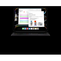 Apple iPad Pro 11 inch, 256 GB, M4 chip, Wifi, Ultra Retina XDR Display, Space Black, MVV83, 1 Year Warranty