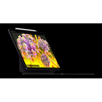 Apple iPad Pro 11 inch, 256 GB, M4 chip, Wifi, Ultra Retina XDR Display, Space Black, MVV83, 1 Year Warranty International Version