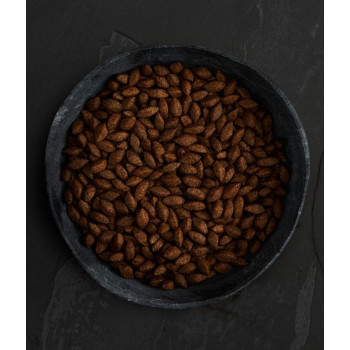 Canagan 5kg Insect Protein Dry Dog Food