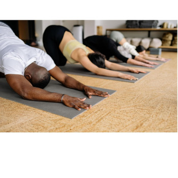 Multi Functional Non Slip Yoga Mat 60 x 15 x 15cm