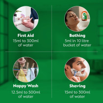 Dettol Original Antiseptic Liquid 1Liters