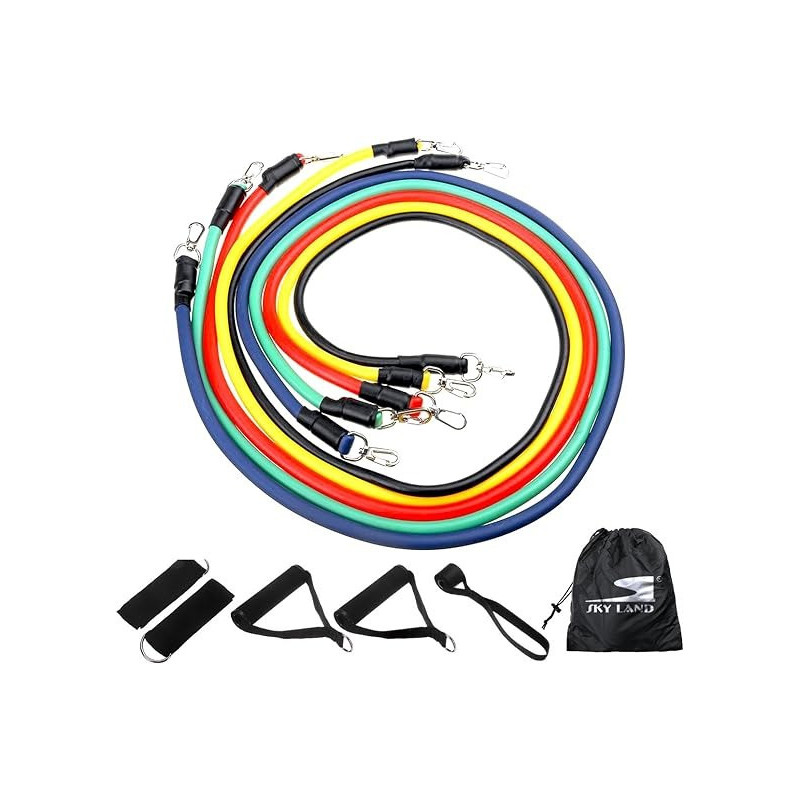 Tomshoo 17-Piece Resistance Band Set Workout Fintess Exercise Rehab Loop Tube Door Anchor Ankle Straps Cushioned Handles With Carry Bags For Home Gym Travel