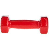 Fitness World Weight Lifting Dumbells 2 Kg