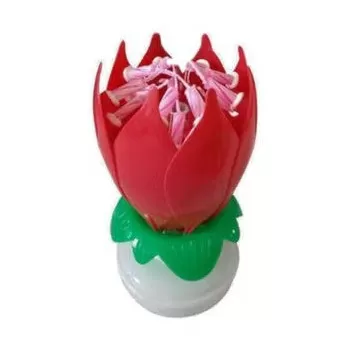 Flower Shaped Rotating...