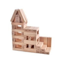 Wooden Block Educational Toy
