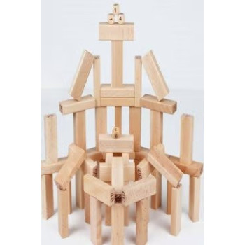 51-Piece Building Block Set