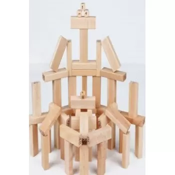 51-Piece Building Block Set