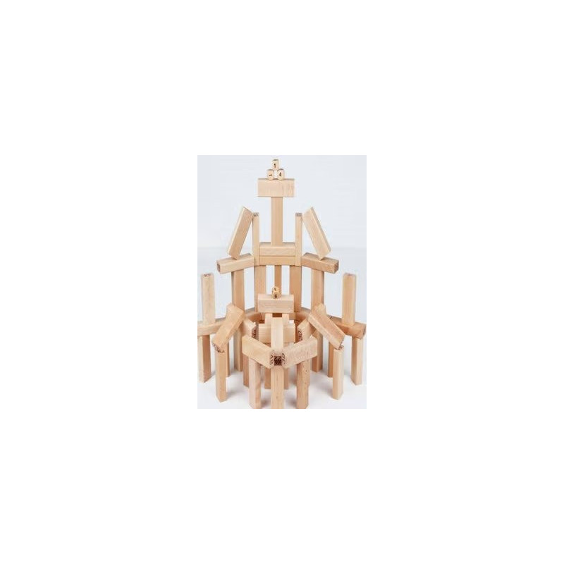 51-Piece Building Block Set