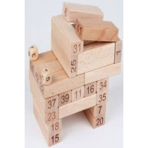 51-Piece Building Block Set