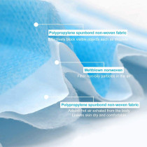 10-Piece Disposable Face Mask