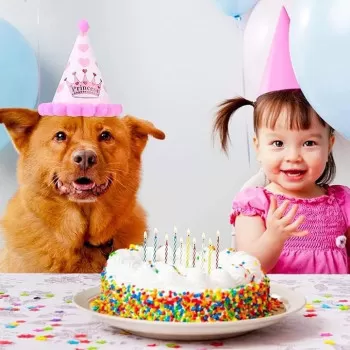 Goldedge 24-Piece Candles...