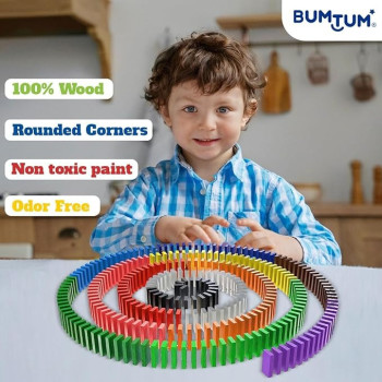 Dominos Blocks Set For 5+ Years