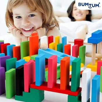 Dominos Blocks Set For 5+ Years
