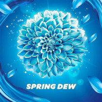 Comfort Fabric Softener Spring Dew For Fresh And Soft Clothes 4Liters