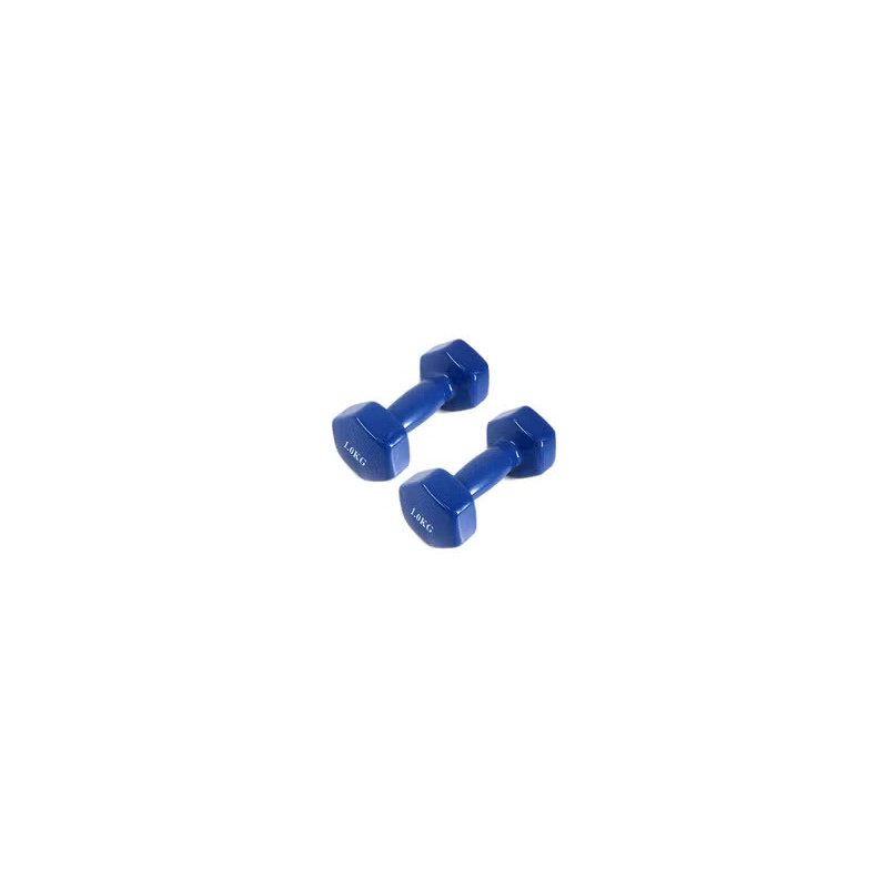 Hexagonal Dumbbell, Set Of 2, 1 Kg Each