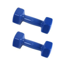 Hexagonal Dumbbell, Set Of 2, 1 Kg Each