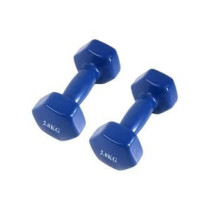2-Piece Fitness Dumbbells, 2 Kg Each, Blue Colour