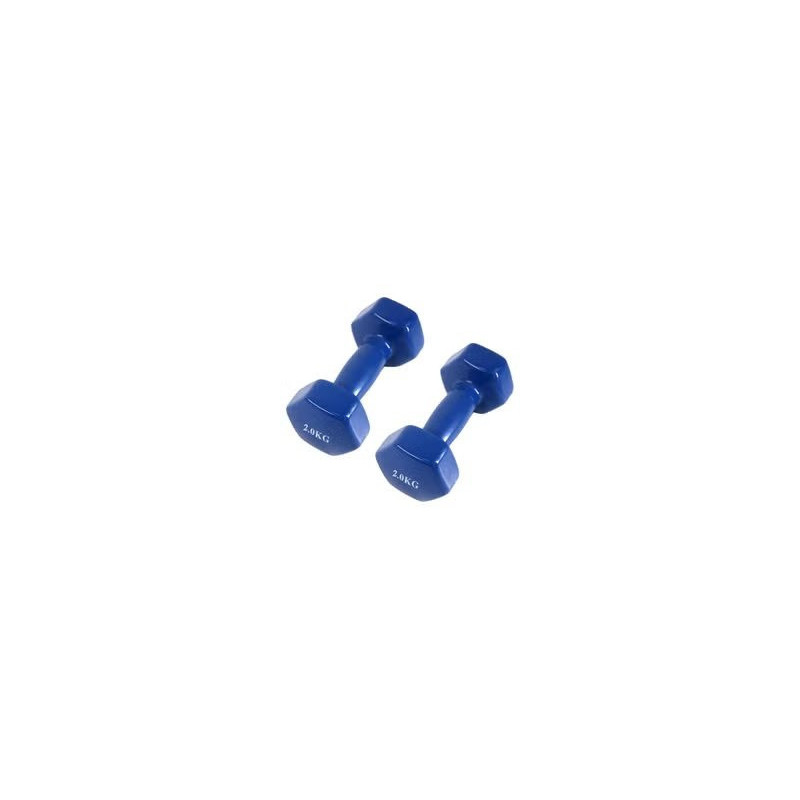 2-Piece Fitness Dumbbells, 2 Kg Each, Blue Colour