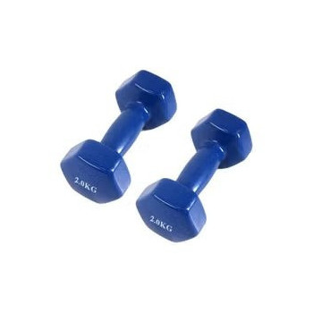 2-Piece Dumbbells For Home Fitness And Gym Exercise, Blue Colour, 2 Kg Each