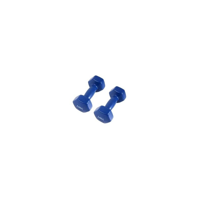2-Piece Dumbbells For Home Fitness And Gym Exercise, Blue Colour, 2 Kg Each