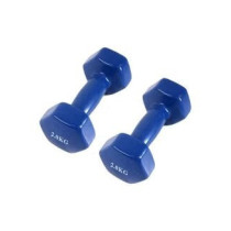 2-Piece Dumbbells For Home Fitness And Gym Exercise, Blue Colour, 2 Kg Each