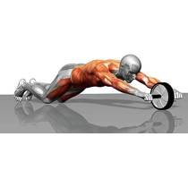 Smooth Waist Wheel Abdominal Exercise,Ab Wheel Roller With Knee Mat Fitness Exercise Abdonimal Abs Wheels