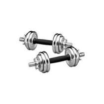 2-Piece Chrome Dumbbells Set, 15 Kg Each
