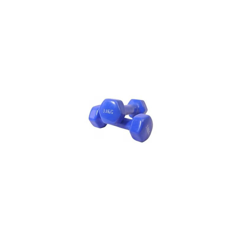 Double Dumbbells Vinyl, Set Of 2, 3 Kg Each