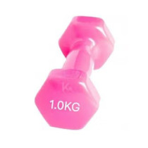 1-Piece Weight Lifting Training Dumbbell, 1Kg