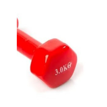 1-Piece Weight Lifting Dumbbell, 3 Kg Each