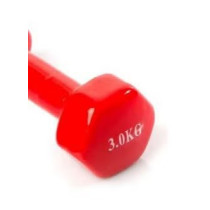 1-Piece Weight Lifting Dumbbell, 3 Kg Each