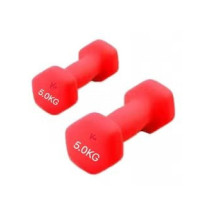 2-Piece Weight Lifting Training Dumbbell Set, 5 Kg Each