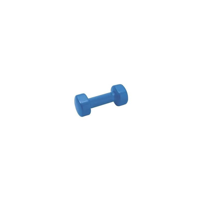 1-Piece Vinyl Dumbbells Set For Fitness Exercise, 2 Kg Each