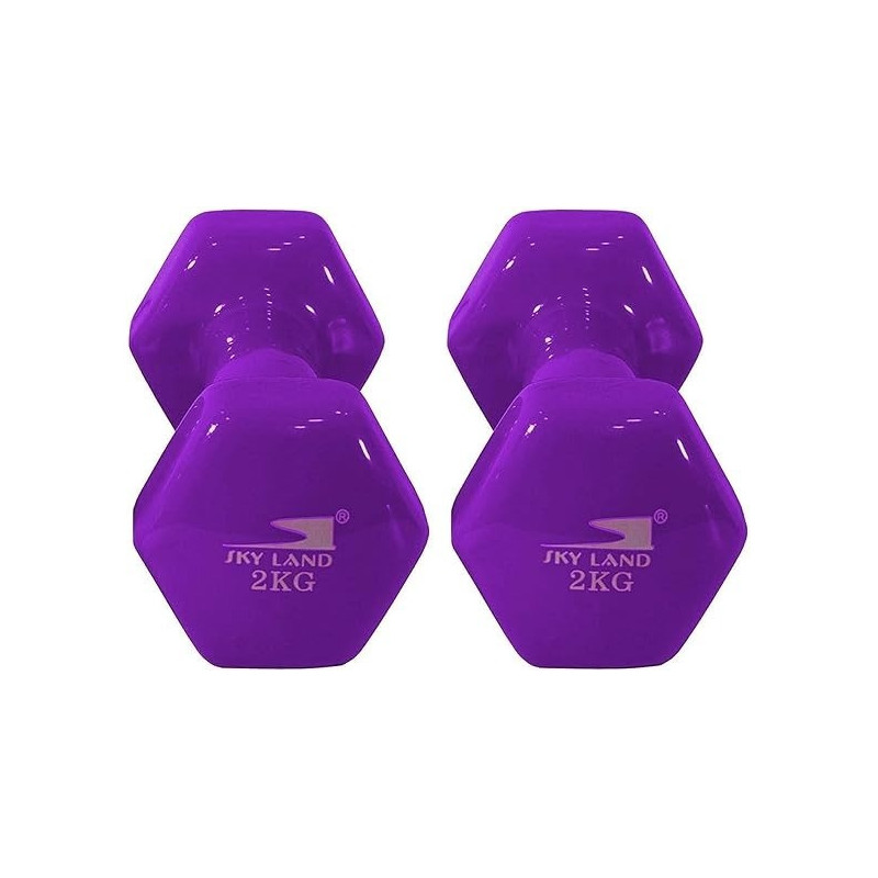 Set Of 2 Classic Head Dumbells 1 Kg, Purple