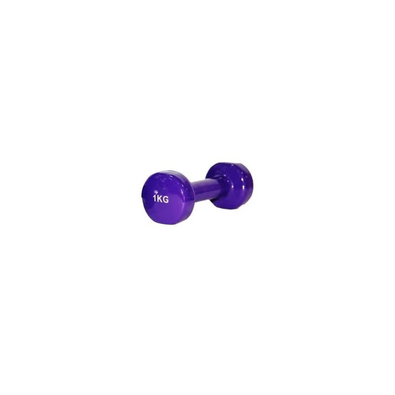 Pair Of Classical Head Fitness Dumbbell, Set Of 2, 1 Kg Each