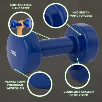 Set Of 2 Dumbbells, 4 Kg Each, Colour Blue