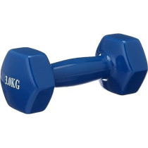 Pro Hanson Dumbbells Set Of 2, 3 Kg Each