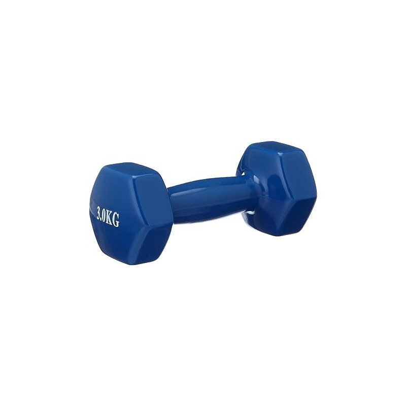 Pro Hanson Dumbbells Set Of 2, 3 Kg Each