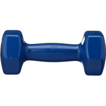 Pro Hanson Dumbbells Set Of 2, 3 Kg Each