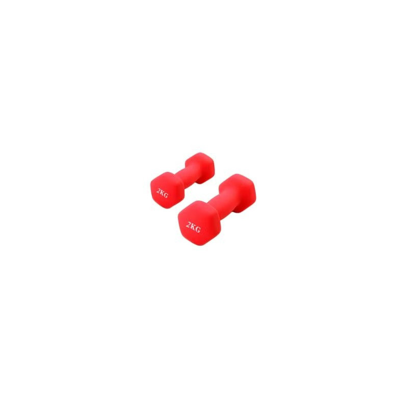 Set Of 2 Hexagonal Dumbbell, 2 Kg Each