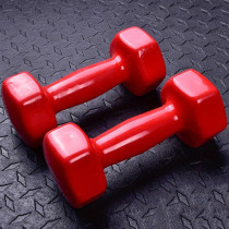 Set Of 2 Hexagonal Dumbbell, 2 Kg Each