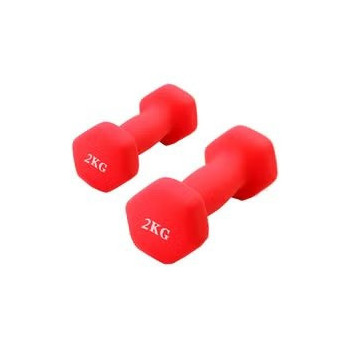 2-Piece Hexagon Dumbbell...