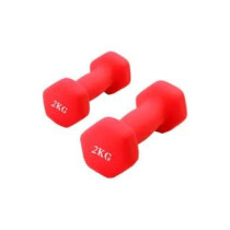 2-Piece Hexagon Dumbbell Set, 2 Kg Each