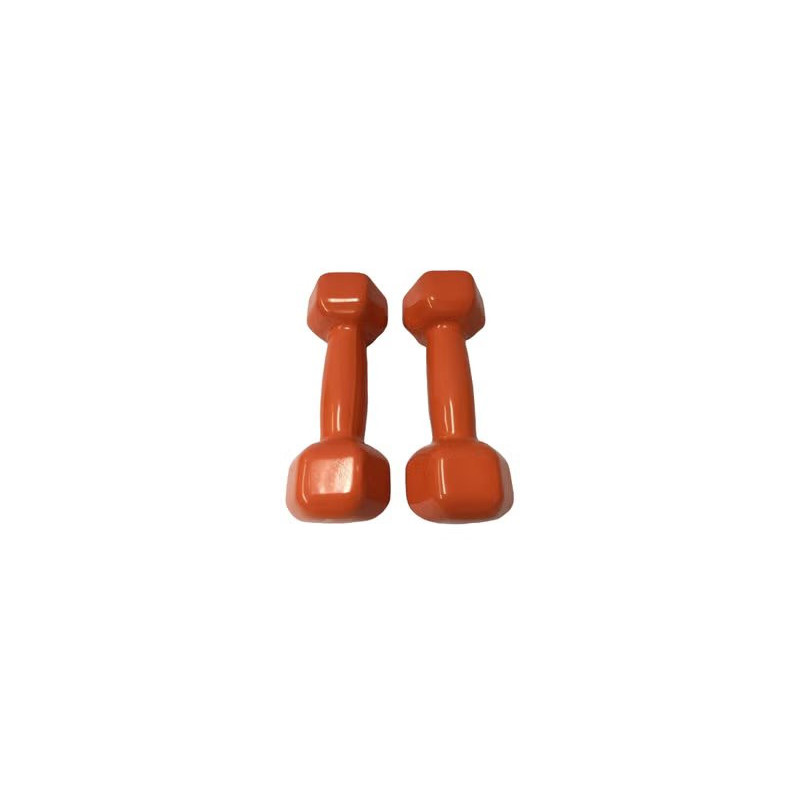 Pair Of Pro Action Fitness Dumbbell Set Of 2, 2 Kg Each