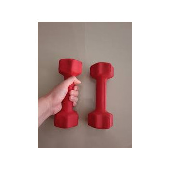 Pair Of Pro Action Fitness Dumbbell Set Of 2, 2 Kg Each